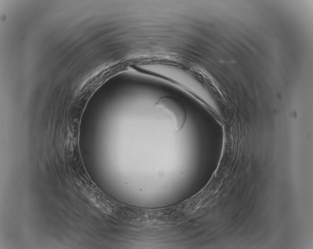 X0000085211064200703231501