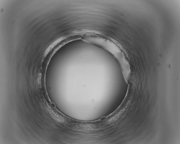 X0000085211066200703231501