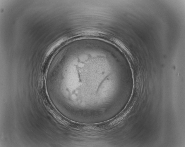 X0000085211067200703231501