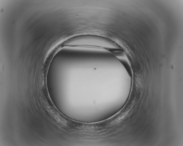 X0000085211069200703231501