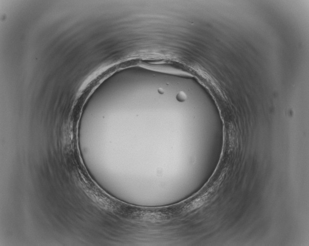 X0000085211070200703231501