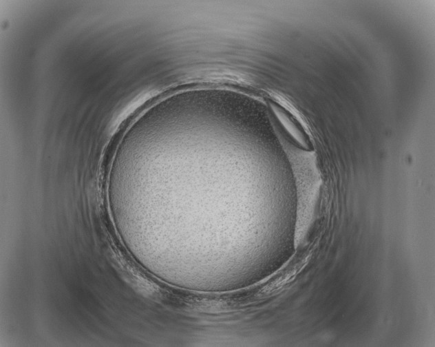 X0000085211071200703231501