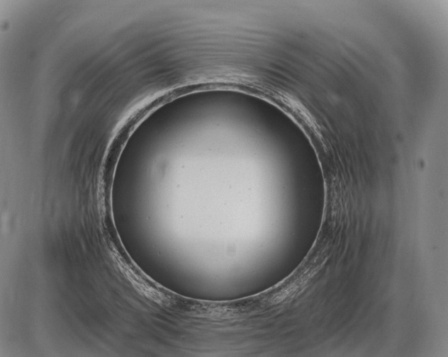 X0000085211072200703231501