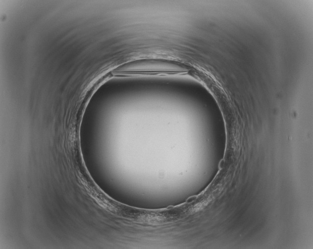 X0000085211073200703231501