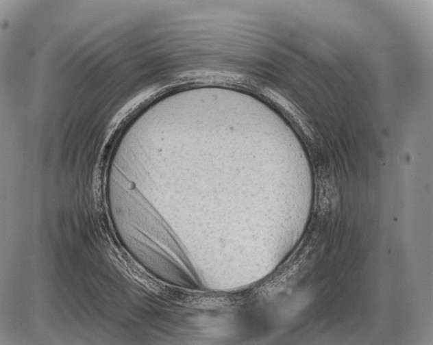 X0000085211074200703231501