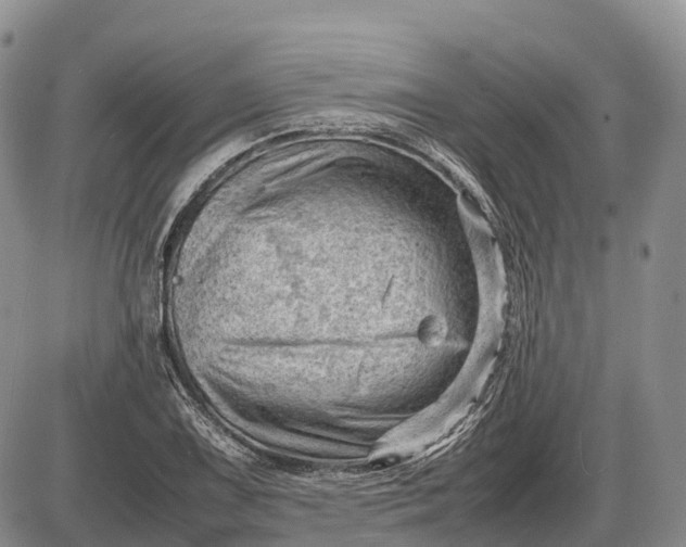 X0000085211075200703231501