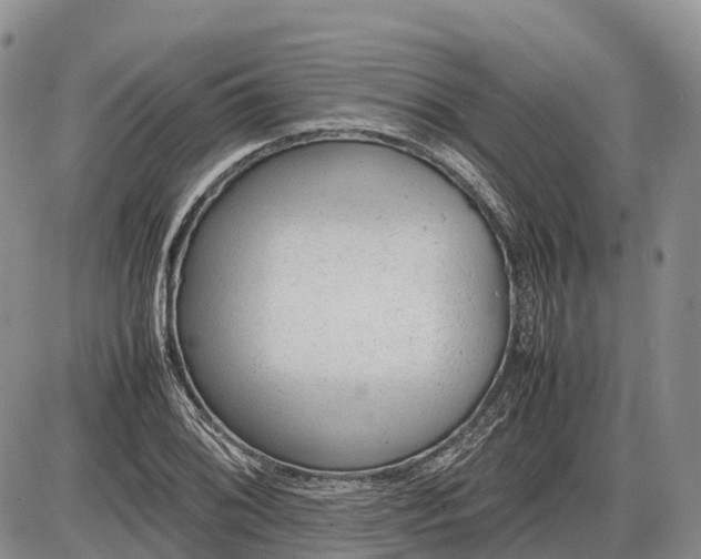 X0000085211076200703231501