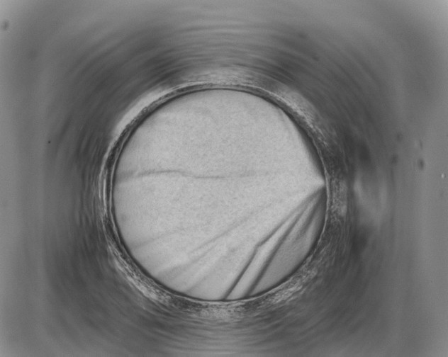 X0000085211078200703231501