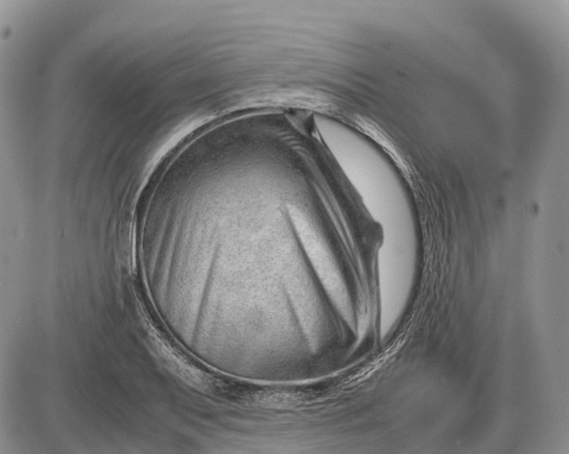 X0000085211079200703231501