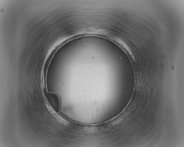 X0000085211080200703231501