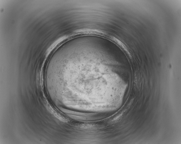 X0000085211082200703231501