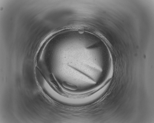 X0000085211083200703231501