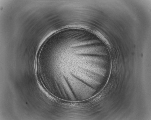 X0000085211084200703231501