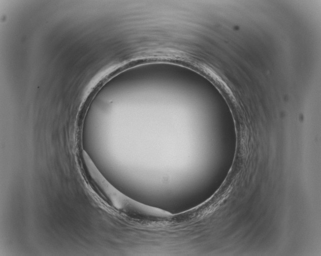 X0000085211085200703231501