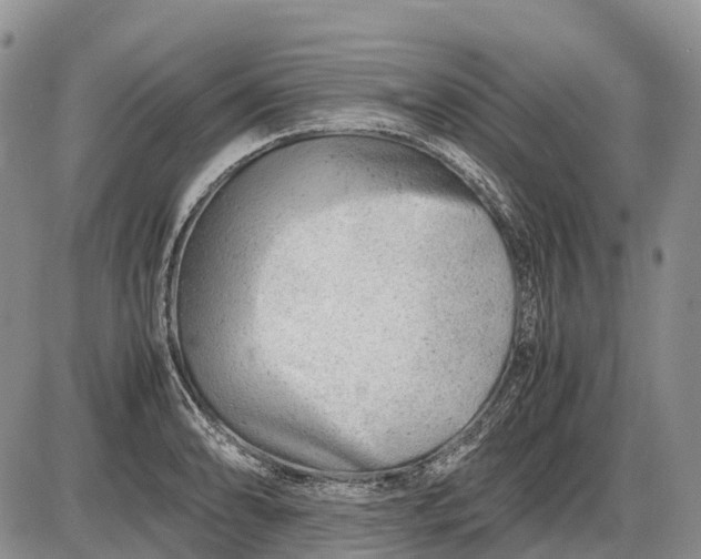 X0000085211086200703231501