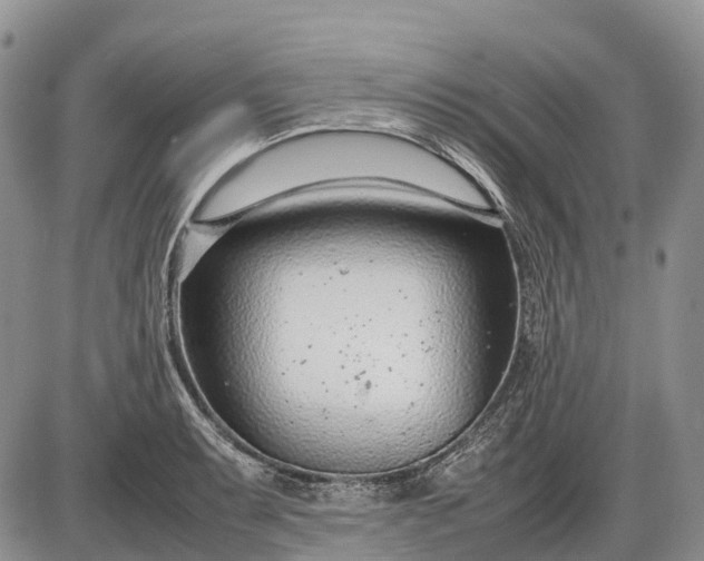 X0000085211087200703231501