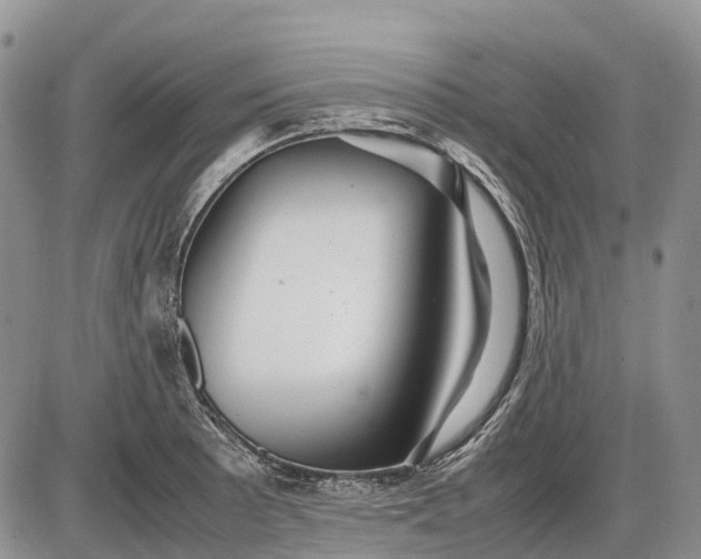 X0000085211089200703231501