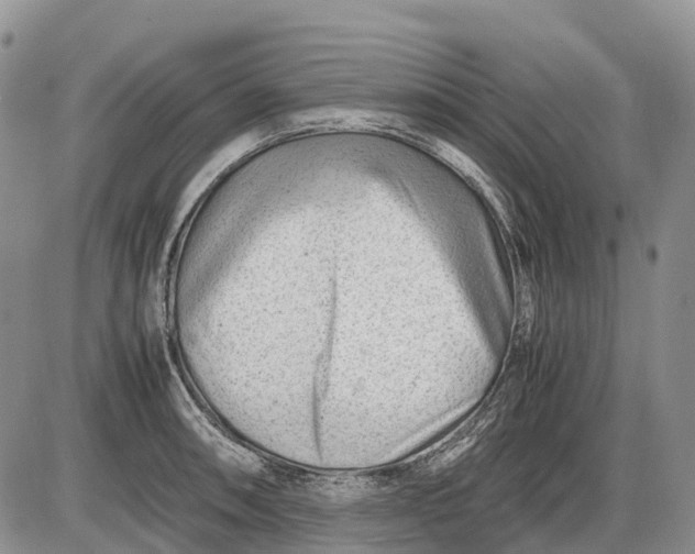 X0000085211090200703231501