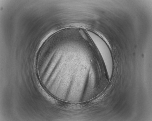 X0000085211091200703231501