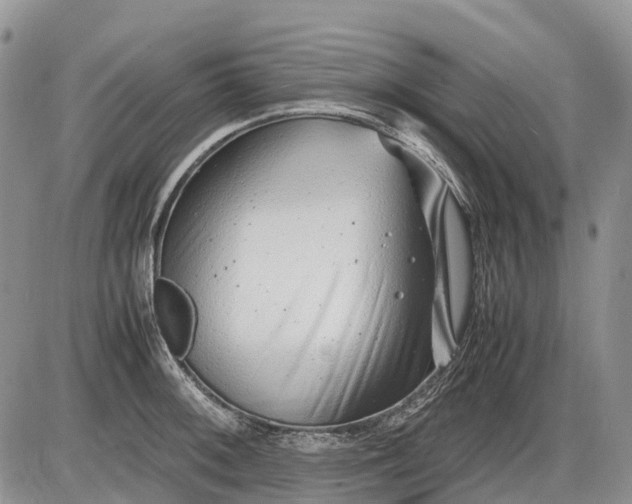 X0000085211092200703231501