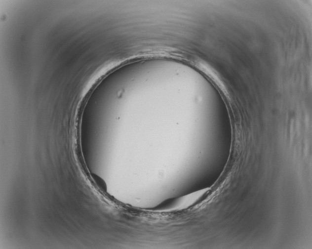 X0000085211093200703231501