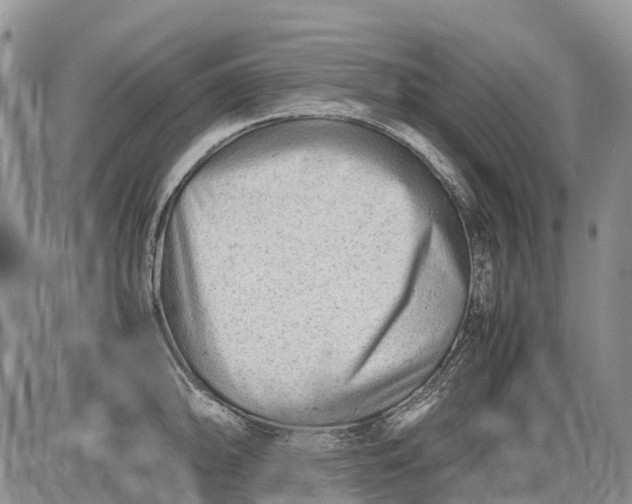 X0000085211094200703231501