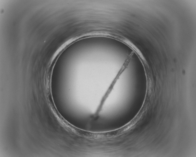 X0000085211101200703231500