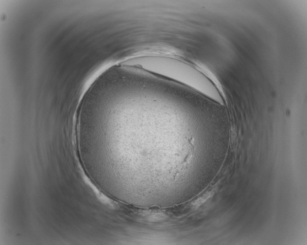 X0000085211103200703231500