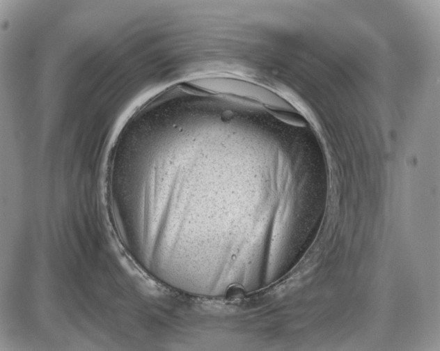 X0000085211104200703231500