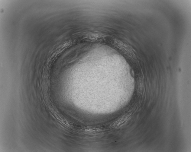 X0000085211105200703231500