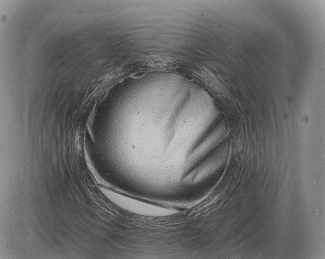 X0000085211106200703231500