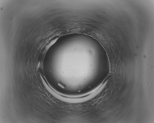 X0000085211109200703231500