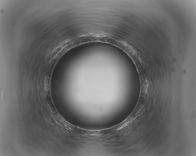 X0000085211110200703231500