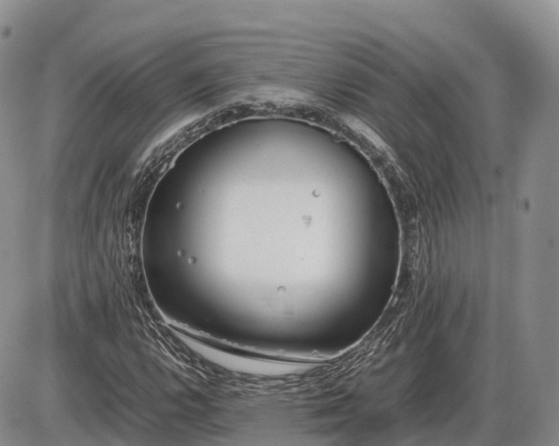 X0000085211112200703231500