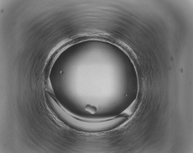 X0000085211114200703231500