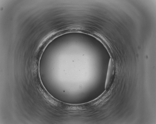 X0000085211115200703231500