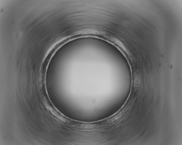 X0000085211116200703231500