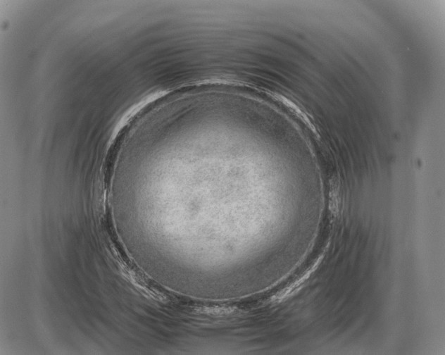 X0000085211117200703231500