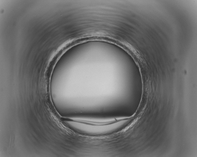 X0000085211118200703231500