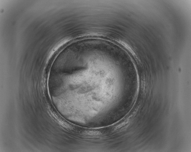 X0000085211119200703231500