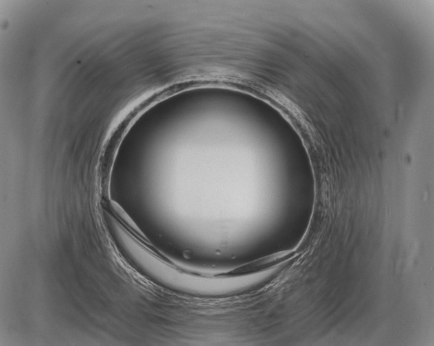 X0000085211120200703231500