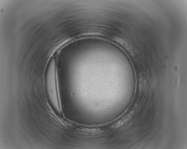 X0000085211121200703231500