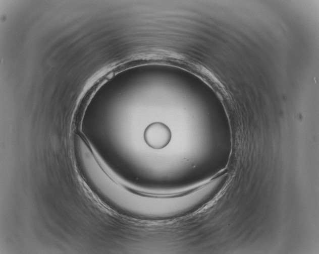 X0000085211122200703231500