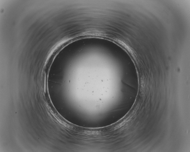 X0000085211123200703231500