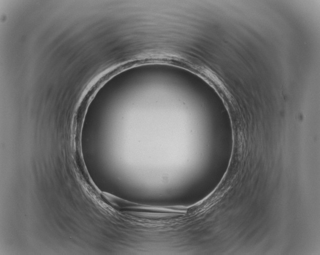 X0000085211124200703231500