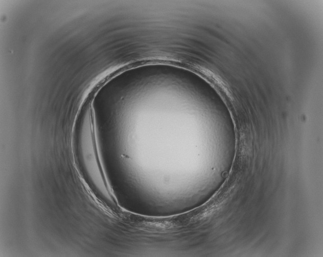 X0000085211125200703231500