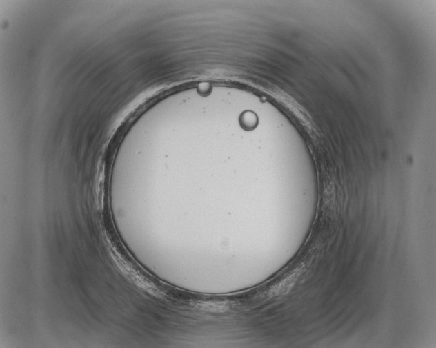 X0000085211126200703231500