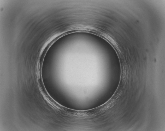 X0000085211128200703231500