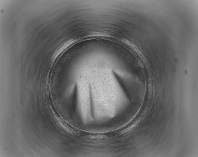 X0000085211129200703231500