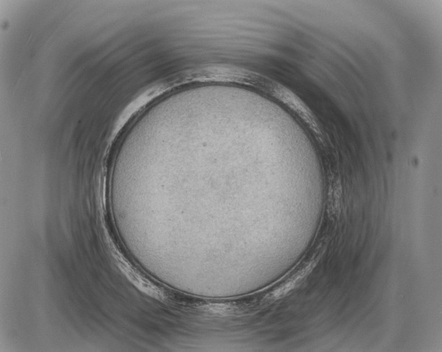 X0000085211130200703231500